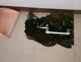 濮阳卫生间测漏水多少钱